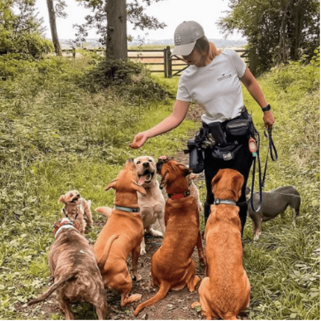 Natural dog treats - Fetch Club Shop