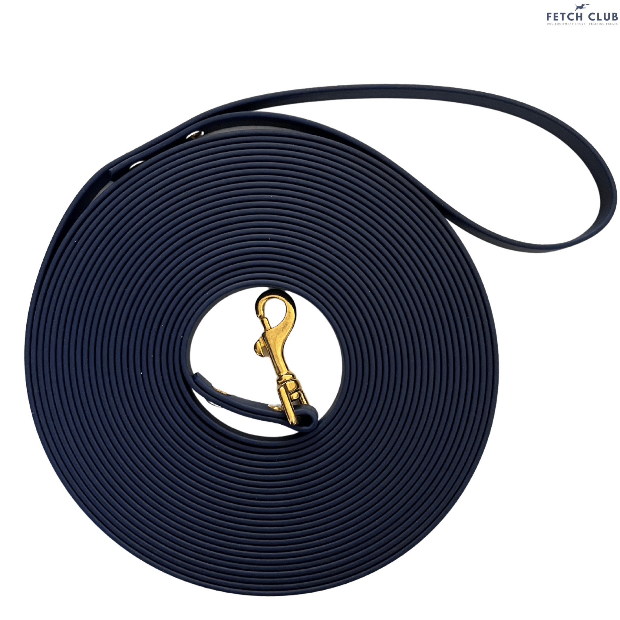 Fetch dog deals leads