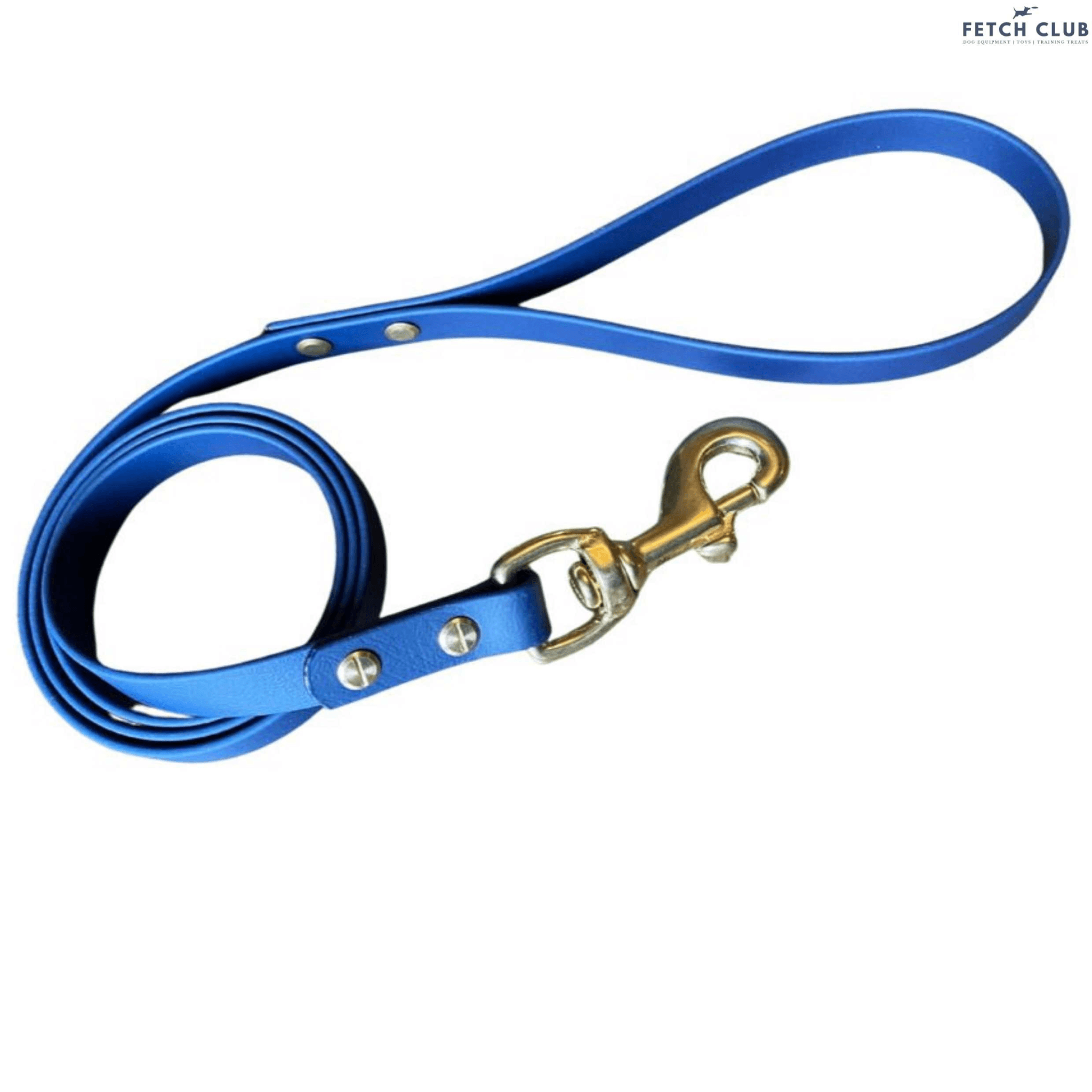 Biothane dog deals leash