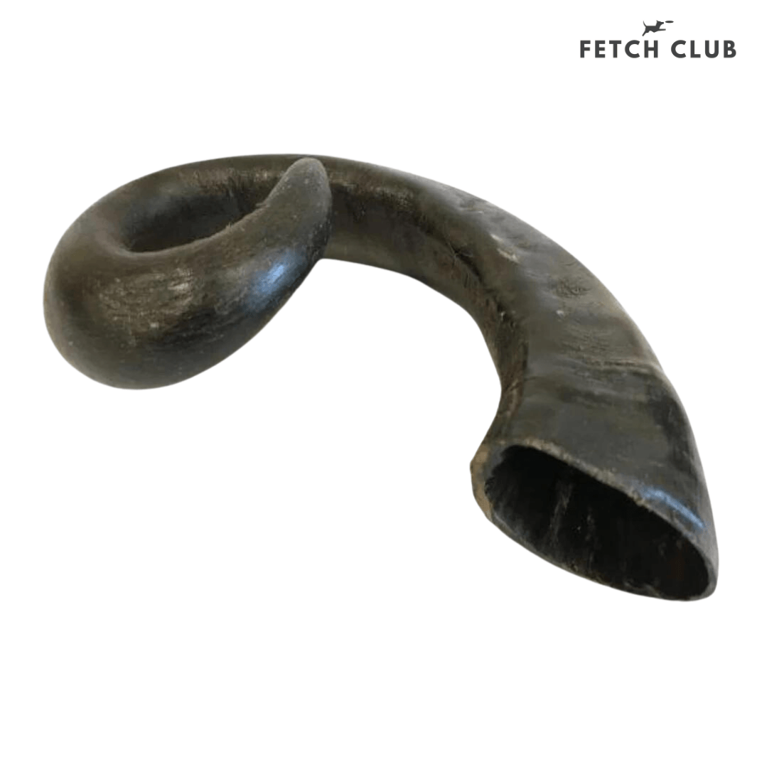 Buffalo Horn - Fetch Club Shop