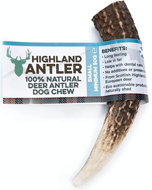 Deer Antler - Fetch Club Shop