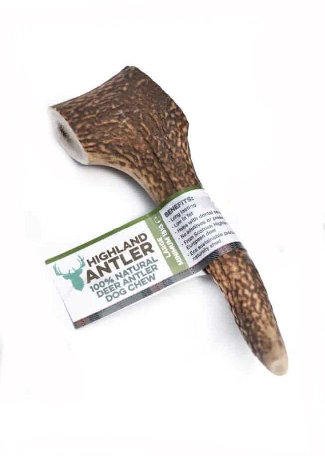 Deer Antler - Fetch Club Shop