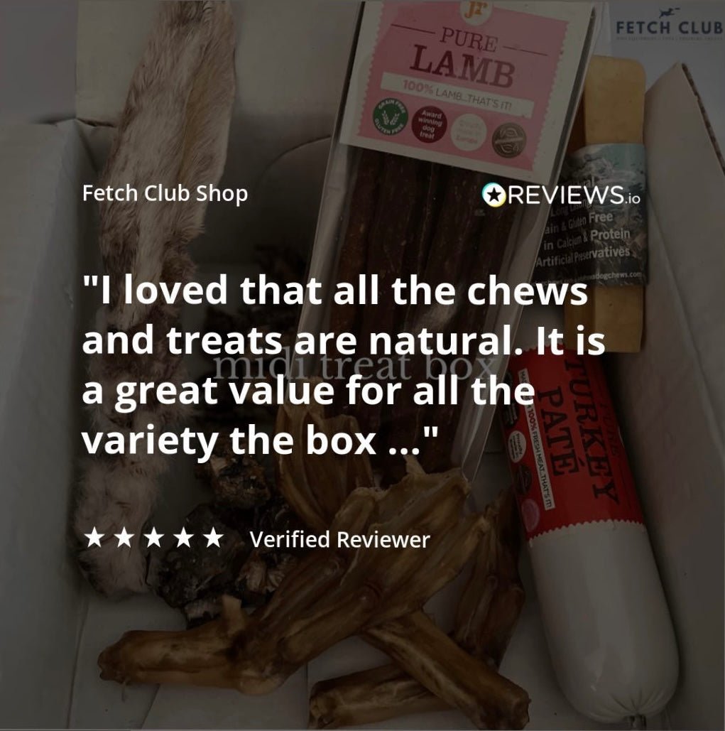 Treat box for dogs - Fetch Club Shop